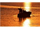 Güneş balıkçıları