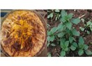  Isırgan otlu börek 