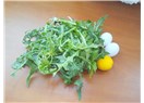 Yumurtalı radika 