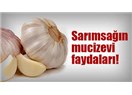 Sarımsağın en önemli yararları!