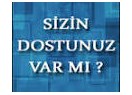 Sizin dostunuz var mı?