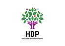 HDP'yi meclise kim soktu?