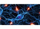 Beyinler arası Ağ kurulabilir mi? – (Sinir Sistemi ve Beyin)