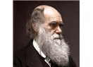 Charles Darwin Migren miydi? Migrenli Olmak Ayrıcalık mıdır?