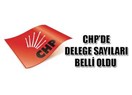 CHP'de delege seçim sistemi