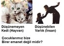 Türk Eğitim anlayışı: Eğitimde (düşünülen manada) neden öğretmenin bir etkisi yoktur (3)