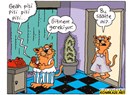 Türkiye’ye birden Biden geldi ve ‘kedi’ dedi!
