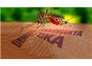 İnsanlığın yeni tehdidi Zika Virüsü