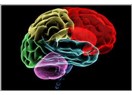 Çokişli (Multitasking) Beyin