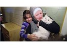Suriyeli mülteci kedi "Kunkuş"un hikayesi, Aylan bebek ve ibretlik halimiz...