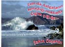 Süzme sözcükler 303: (Haiku) Çığlık çığlığa