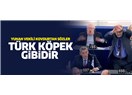 Eleftherios efendi bize "kelp" demiş...
