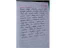 Nusaybin'de bir çocuğun günlüğüne yazdıkları :(
