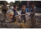 Çocuk işçiliğinde utanılacak tablo…