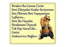 Dostluk dönemseldir ve kara(gün) dost(u)