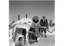 Evimizi değişelim eskimo kardeş