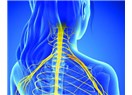Boyunda sinir sıkışmasının sinirlere etkisi ve tedavisi