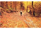 Süzme sözcükler 318: (Haiku) Dökülür yapraklar.