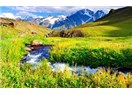 Süzme sözcükler 323: (Haiku) Pilavdan dönenin