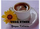Veda etmek