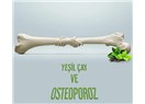 Yeşil çay ve Osteoporoz
