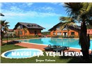 Mavisi aşk yeşili sevda