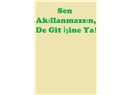 Sen akıllanmazsın, de git işine ya!