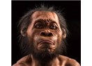 Homo Naledi atamız mı, akrabamız mı?