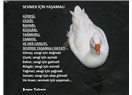 Sevmek için yaşamalı