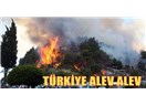 Ormanlarımızın dikkatsizlik sonucu yanmasını kabullenemiyorum; kasıtlı yaksalar daha iyi