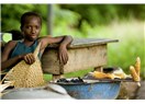 Afrika Neden Fakir: Afrikalı’nın Her Yıl Cebini Boşaltan 3 Tahıl