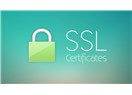 SEO İçin SSL Sertifikasının Önemi ve Kullanımı