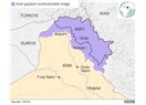 Kuzey Irak Sorunu, Ancak Irak Anaysası'nın 140. Maddesinin Değiştirilmesi ya da İptali İle Çözülür