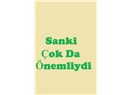Sanki Çok ta Önemliydi