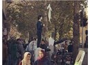 Eşarbını Ağaca Bağlayıp Nutuk Çeken İranlı Kadın