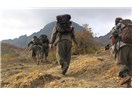 PKK 30 Yıldır Dağlarda Kurşun Atacağına Sokaklarda Slogan Atsaydı Daha İyi Olurdu