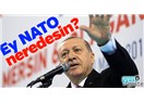 NATO’ya Gel Bizi Koru Diyoruz Ama PKK Terörü Biraz İç Mesele Gibi