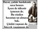 Gün Tıkanıklığı