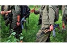 PKK Silah Bırakmaya mı Gidiyor?