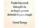 İki Yaka