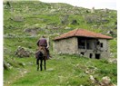 Eskiden Uzaktı ve Artık Tarlana Yürüyerek Gitmiyorsun, Köyler Birleştirilmeli