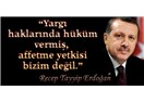 Ak Parti Af Konusunda Kararlı Tutumunu Sürdürürse Büyük Takdir Kazanır Çünkü Milletimiz Affa Karşı
