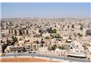 Halep