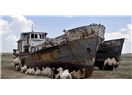 Aral Gölü’nü Kurtarma Umutları