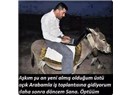 Padişahız Biz!