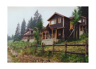 Yağmur ve aşk