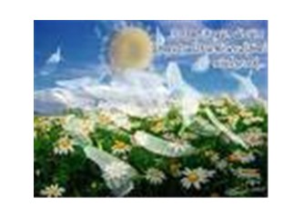 Cezaevleri doldu hayatlar heba oldu