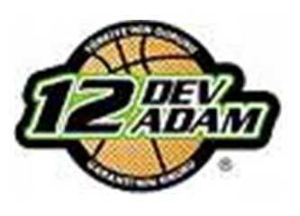 Japon gülleri: 12 Dev Adam