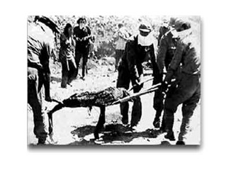 Avrupa Birliği mi?