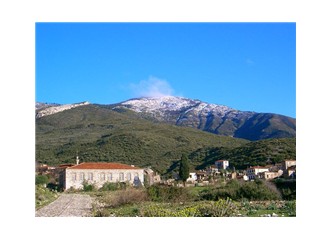 Çevre ve Orman Bakanlığı'nın işi nedir?